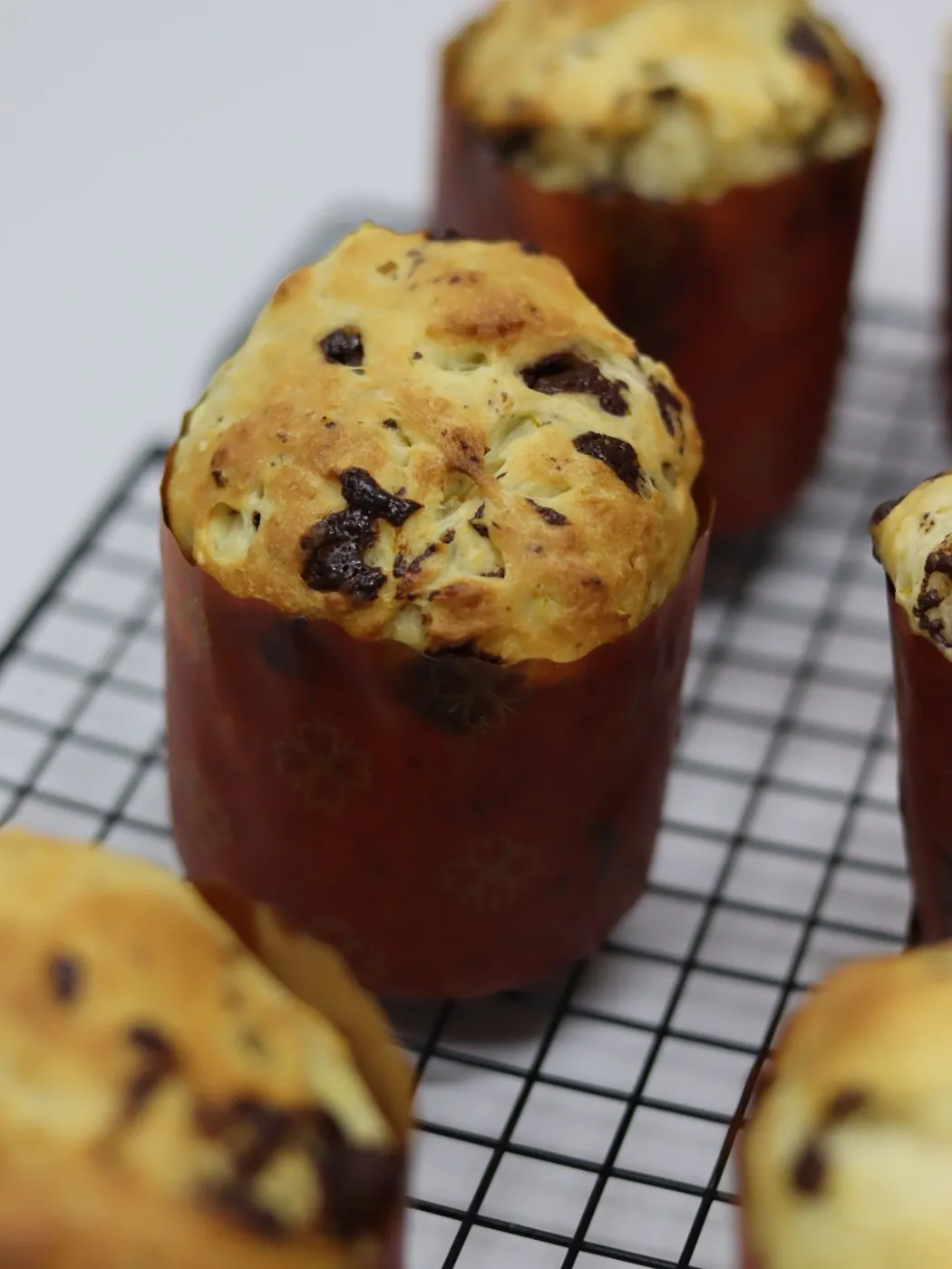 Panetone zero em forma vermelha visto de perto