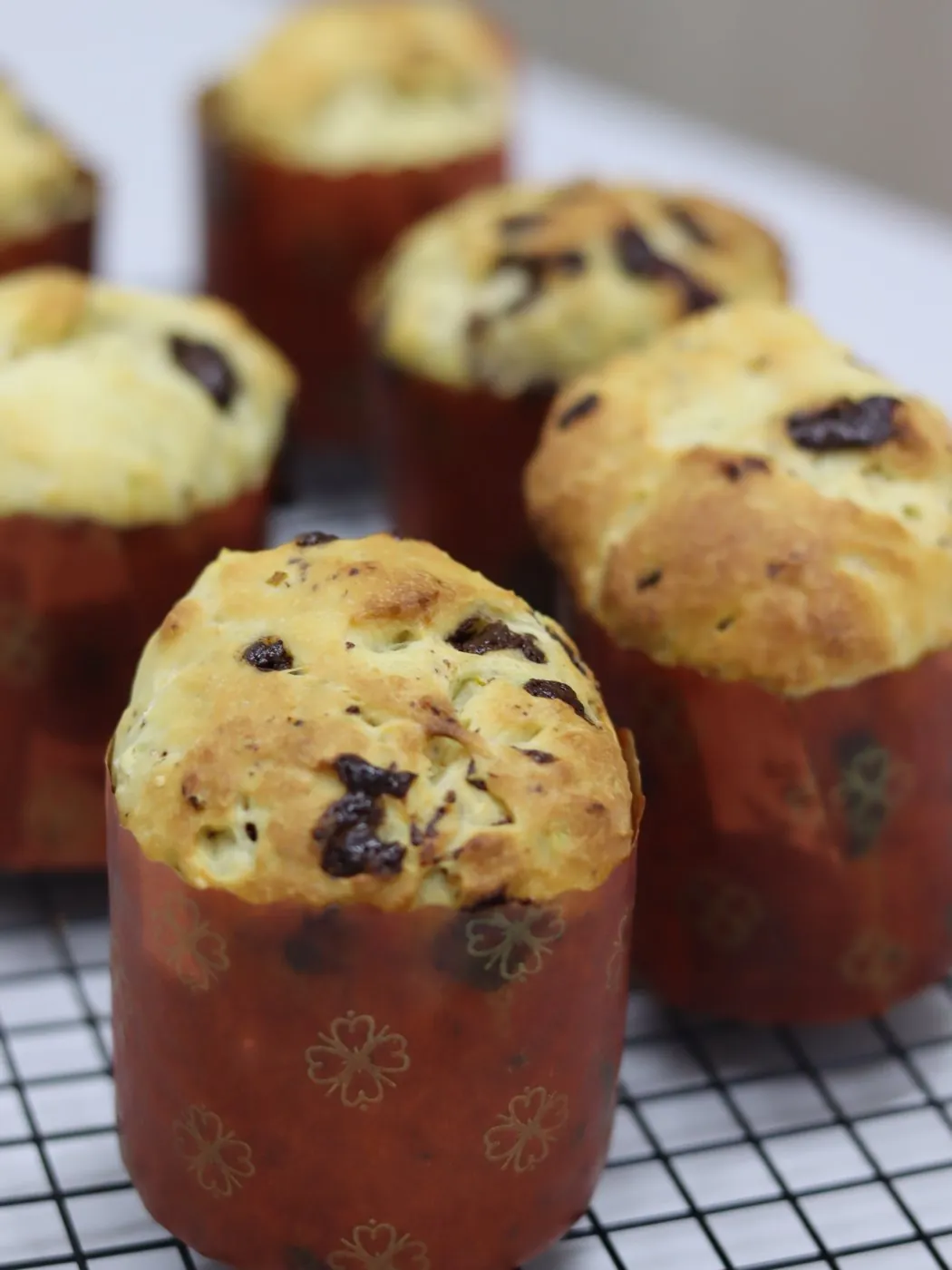 Panetone zero com topo dourado e gotas de chocolate